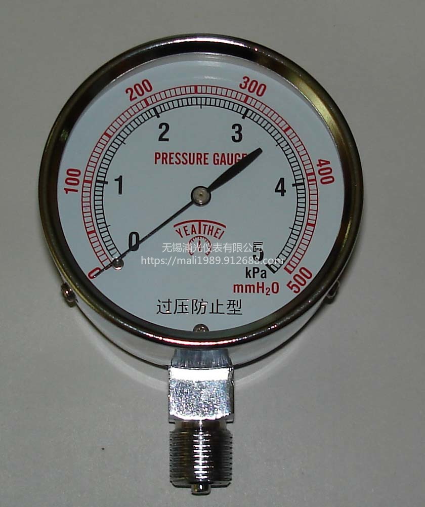 浦光仪表联接型式螺纹/法兰隔膜不锈钢水压表YTF-60PG图片